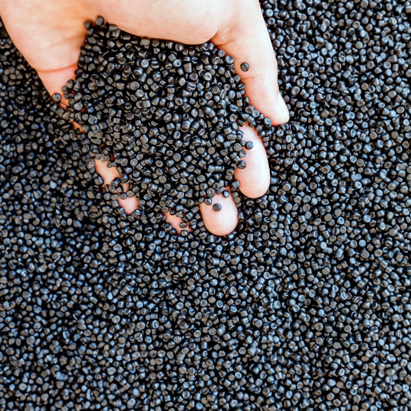 Polypropylene